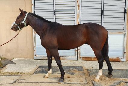 �ǿ����ŷ ����