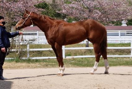 ����ǽ� ����