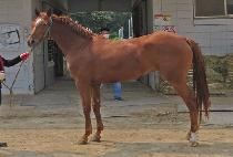 ���Ͼ�� (GENIUS QUEEN) ����