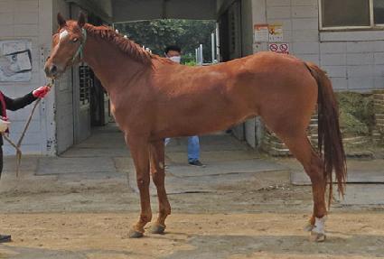 ���Ͼ�� ����