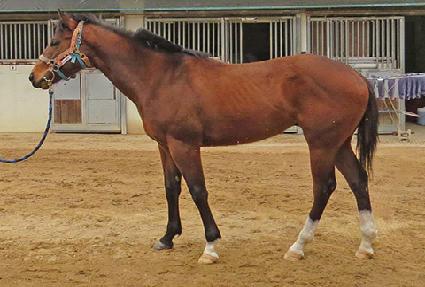 �������� ����