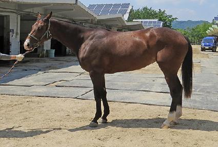 �������� ����