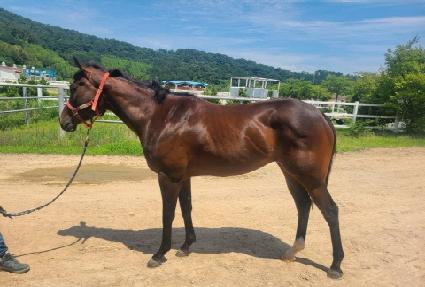 �ƹ��� ����