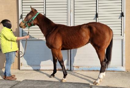 ��ٽ��� ����