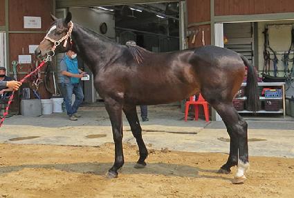 ���������� ����