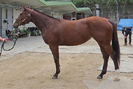 ��ġ���� ����