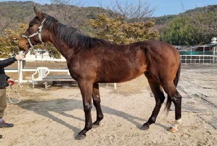 û������ ����