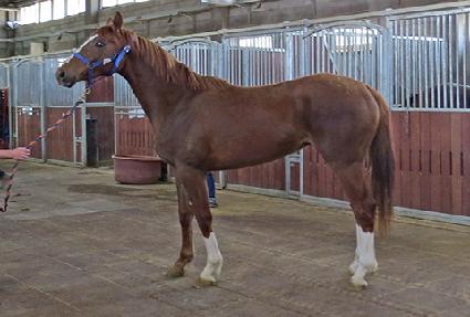 ������� ����