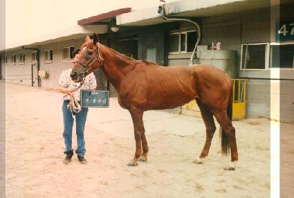 �������� ����