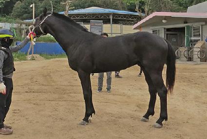 ���̺��丮 ����