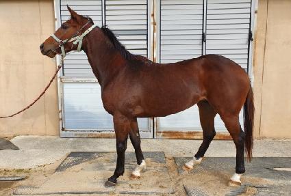 �Ƹ����� ����