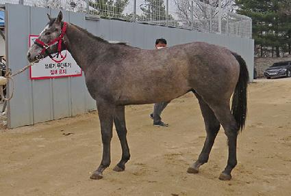 ��ũ���÷��� ����