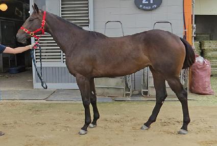 �����ε� ����