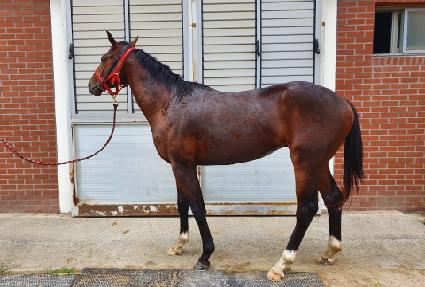 Ŀ���ö��� ����