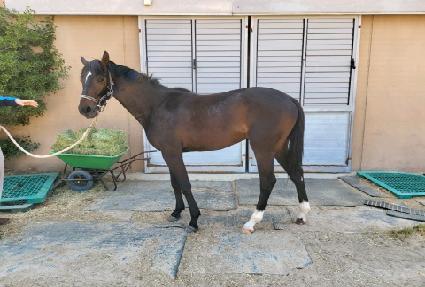 ����ī�� ����