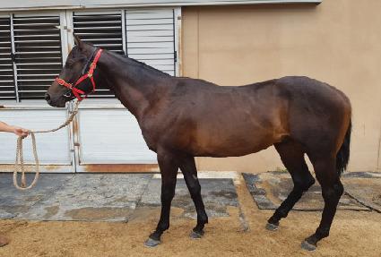 ���ظ�ġ ����