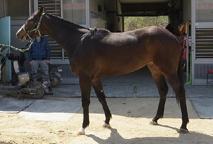 ������ ����