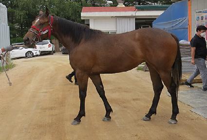 ���̺극��ũ ����