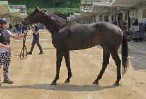 �ǿ������� (PNS BYEOL) ����