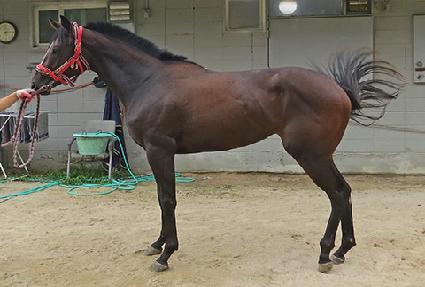 ���è�� ����