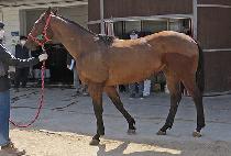 CHEONMA CHAT picture