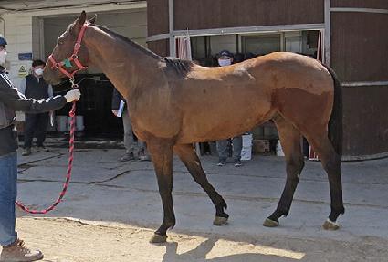 õ��ê ����