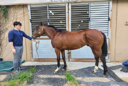 �¸�����ŷ ����