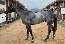 ���κ��� (SEOBU BIGSTEP) ����