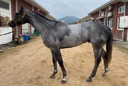 ���κ��� ����