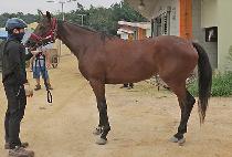 ������ũ (SEONGSIL PINK) ����