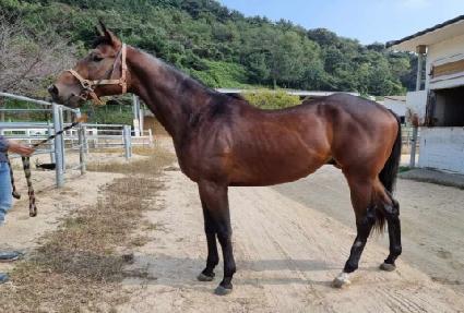 �ԾȺҲ� ����