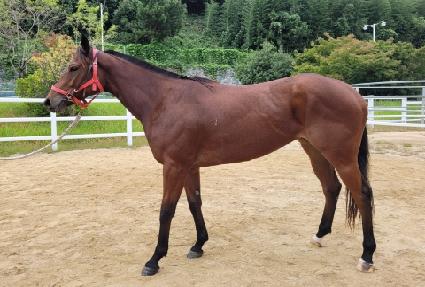 �Ծ�ȫ�� ����