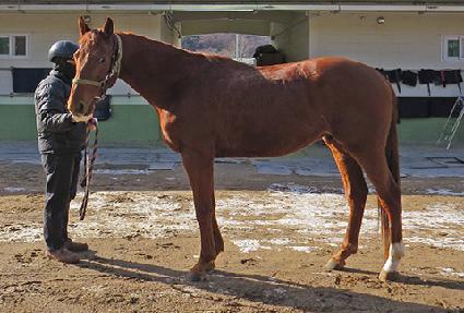 ����ĸƾ ����