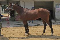 ����žŬ���� (K TAP CLASS) ����