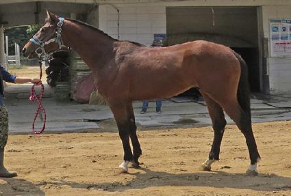 ����žŬ���� ����