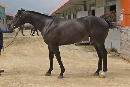 �����ӽ�ũ ����