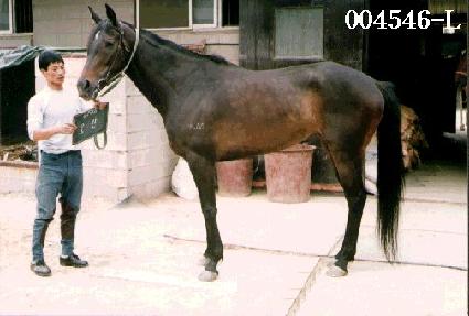 ��� ����