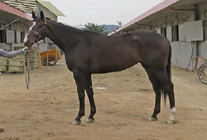 �а��� ����