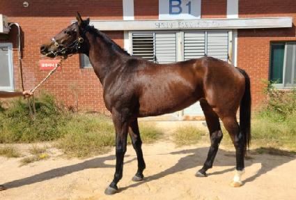 ���� ����