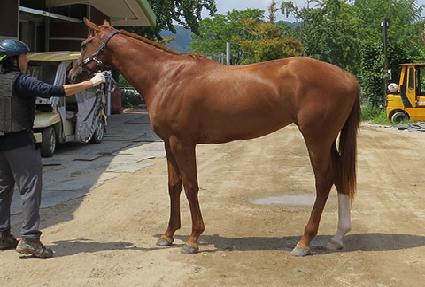 �÷��� ����