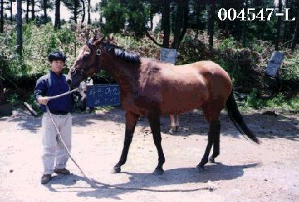 �ľȴ�� ����