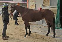 �м��Ŀ� (FASHION POWER) ����