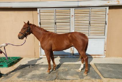 ī����� ����