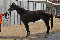 �Ŀ��÷��� (POWER PLAY) ����