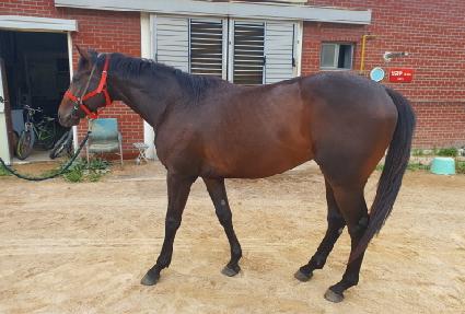 ������������ ����