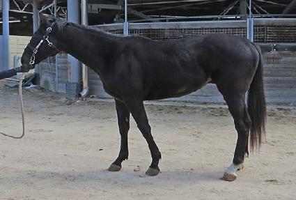 �������� ����