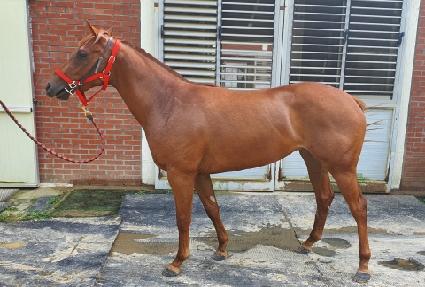 �޿�Ȧ������ ����