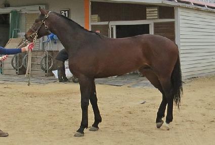 ���̾�Ʈ��ġ ����