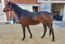 �Ŀ�ĳ�� (POWER CASTLE) ����