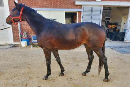 �Ŀ�ĳ�� ����